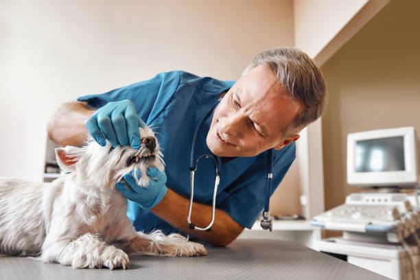Best Same-Day Emergency Dental Services in Country Club Estates, GA